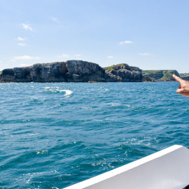 Paseo en barco por Suances - Actitur