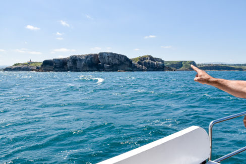 Paseo en barco por Suances - Actitur
