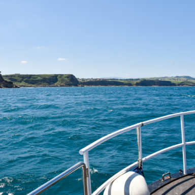 Paseo en barco por Suances - Actitur